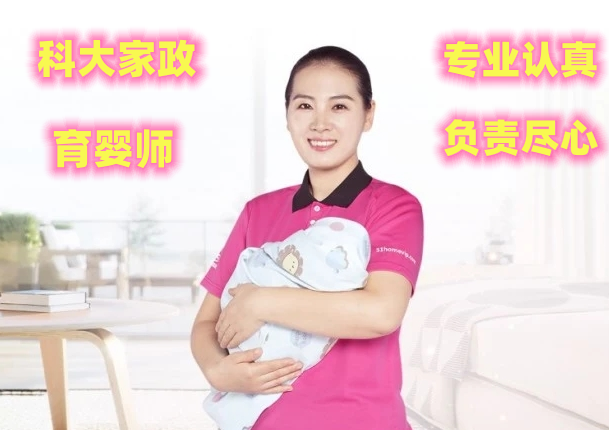 科达家政 泰安育婴师服务