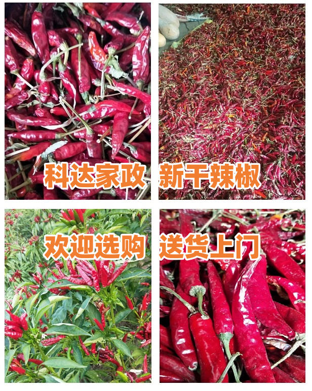 微信截图_20231104184837.png