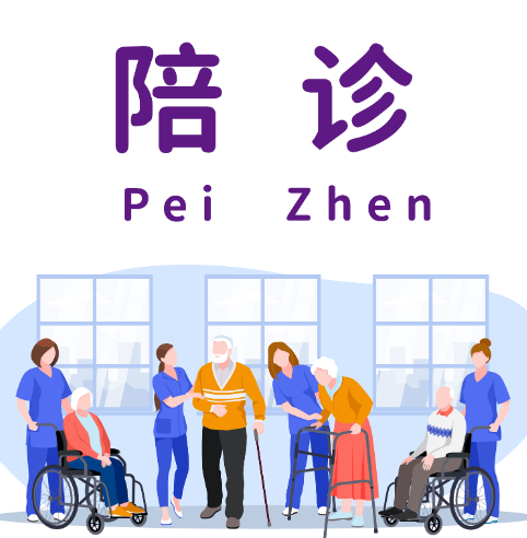 找医院陪诊人员